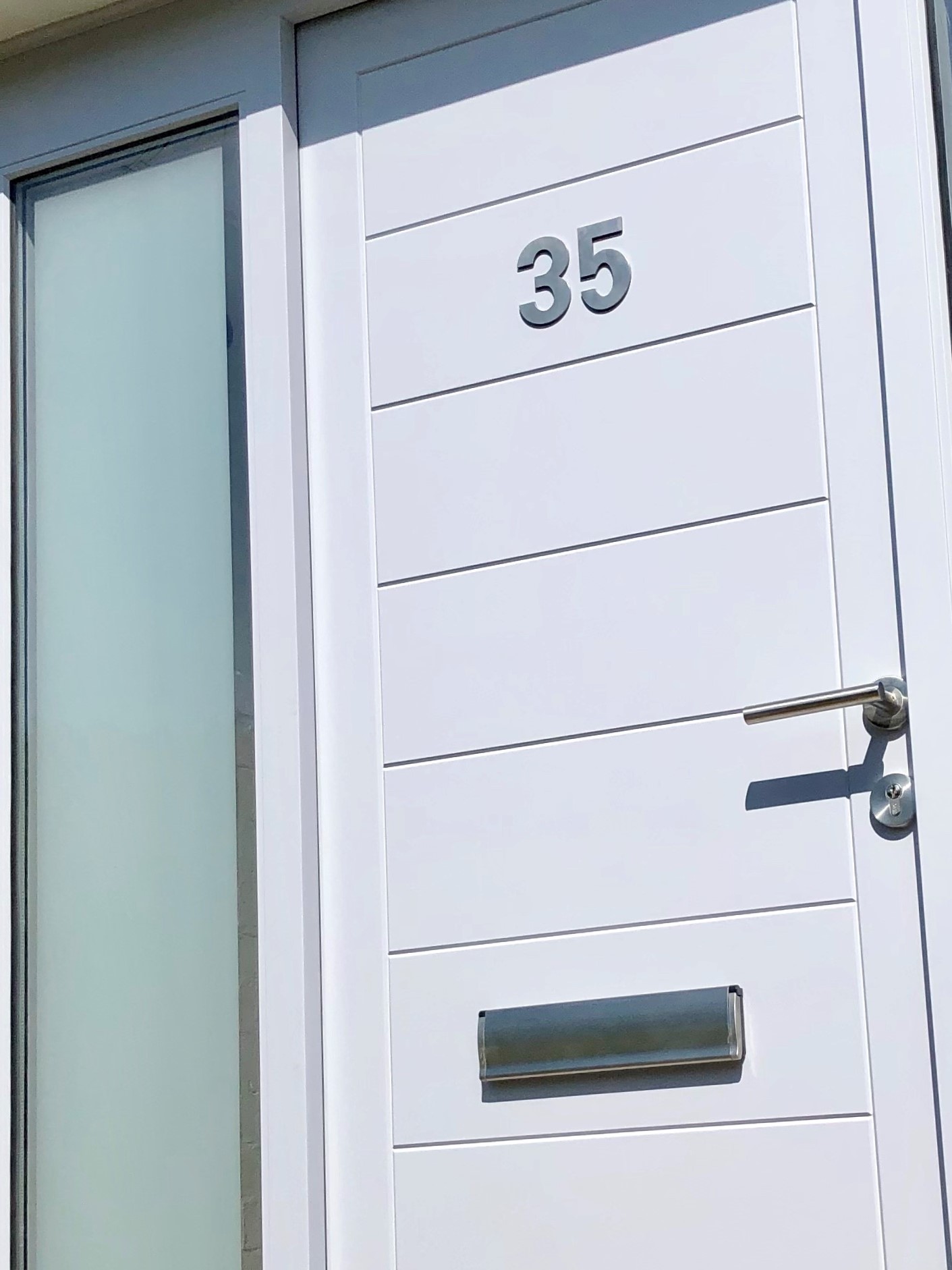 Modern White Door with Frosted Sidelights