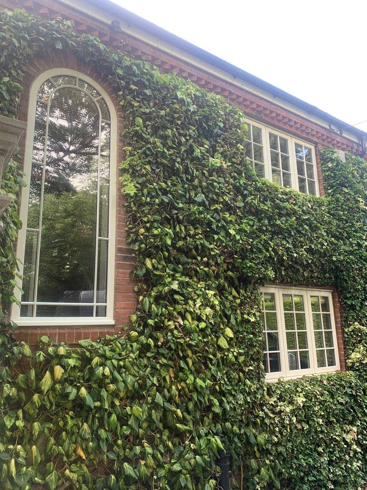 Curved Head HP and other Windows